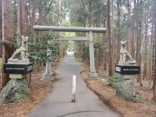 釜山神社の鳥居