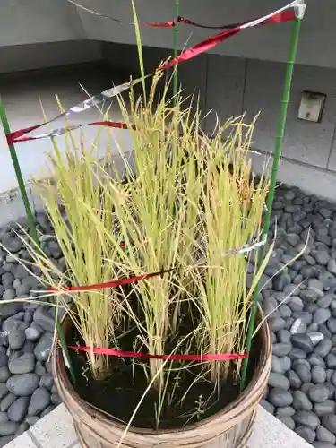 水天宮(東京都)