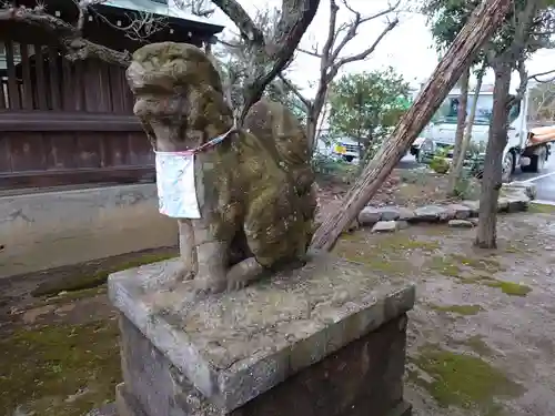 五泉八幡宮の狛犬