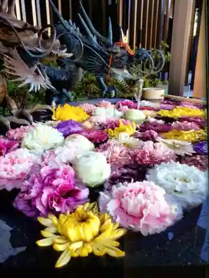 駒込妙義神社(東京都)