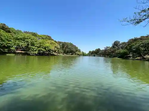 武蔵一宮氷川神社(埼玉県)
