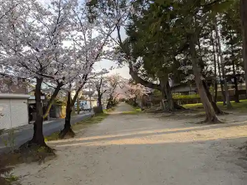 伊多波刀神社(愛知県)