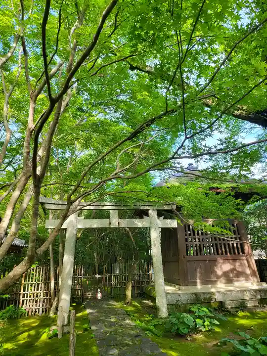 蓮華寺(洛北蓮華寺)(京都府)