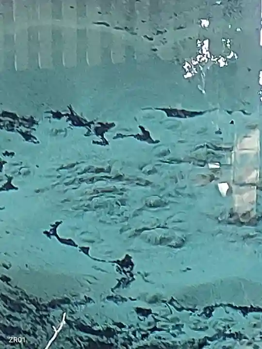 泉神社(茨城県)