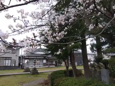 日吉神社(福井県)