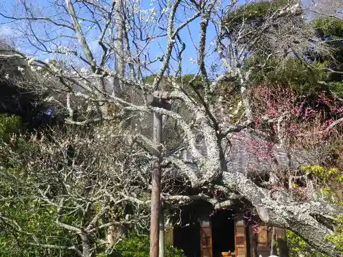 瑞泉寺のその他建物