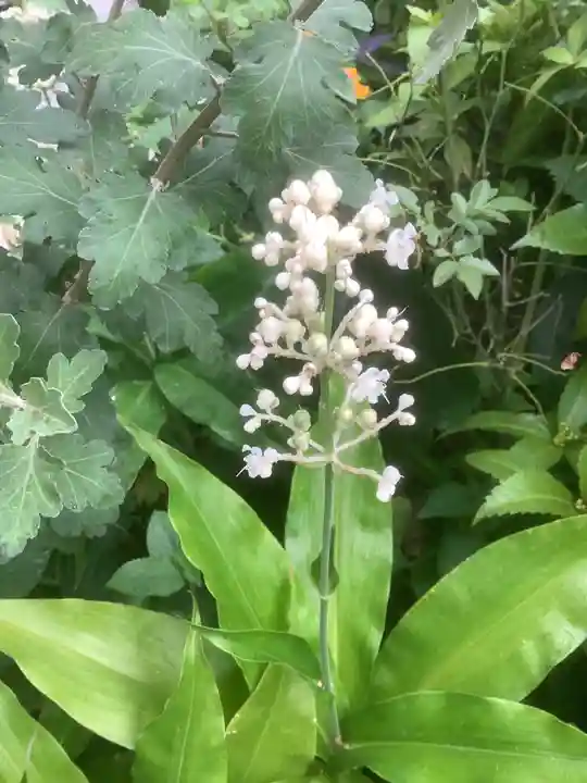三輪神社(愛知県)