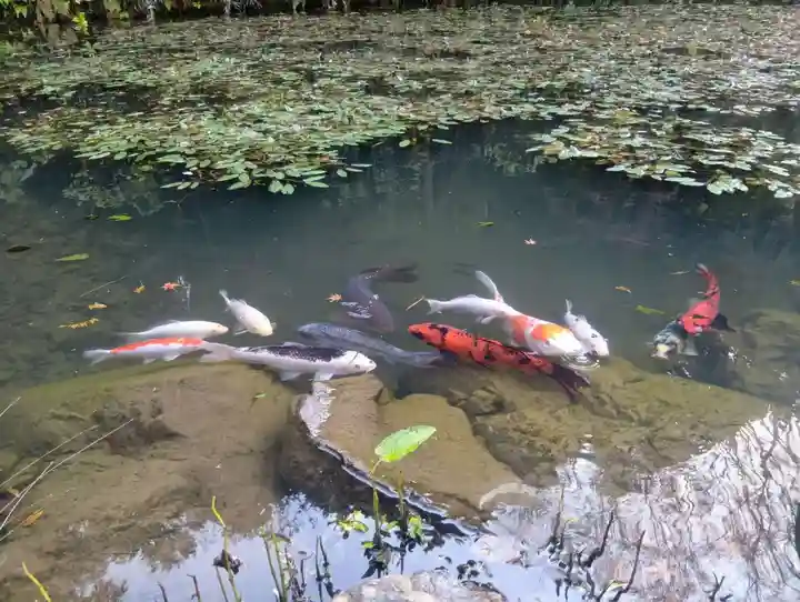 三光寺(岐阜県)