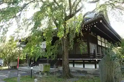妙満寺の本殿・本堂