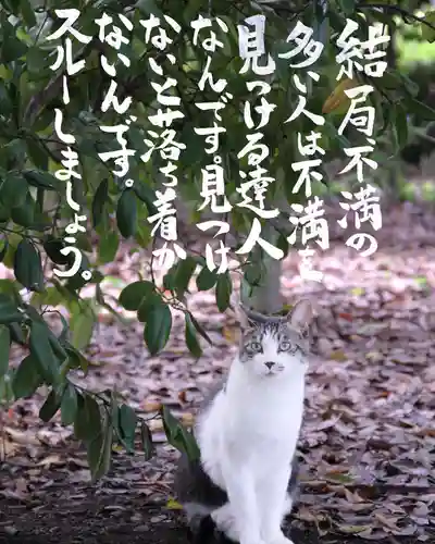 専念寺(大阪府)