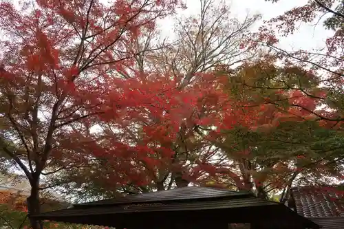 指月殿(静岡県)