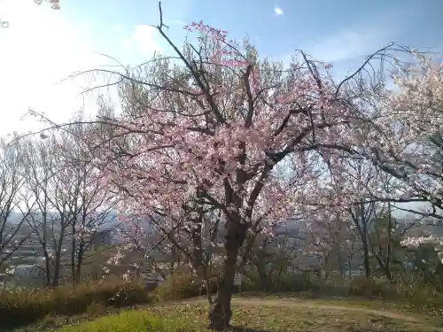 足高神社の自然