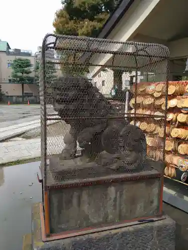 今戸神社の狛犬