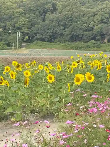 道通神社(岡山県)