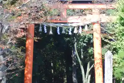 廣瀬大社(奈良県)