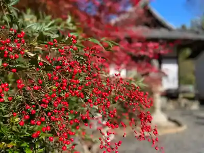 常樂寺(滋賀県)