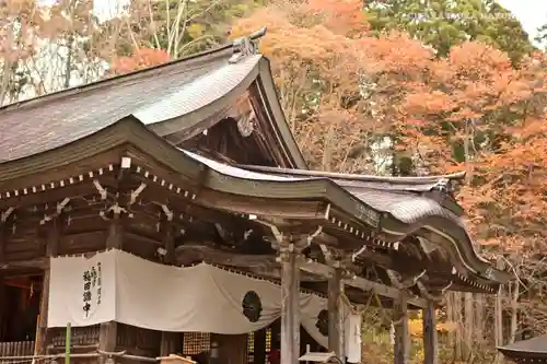 戸隠神社中社の本殿