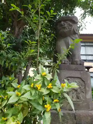 鷺宮八幡神社の狛犬