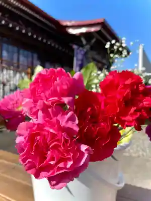 伊達神社の自然