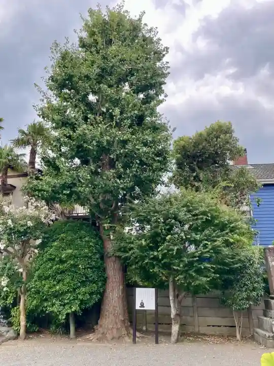 大運寺(神奈川県)