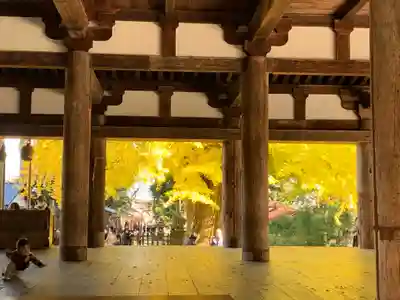 新宮熊野神社の本殿・本堂