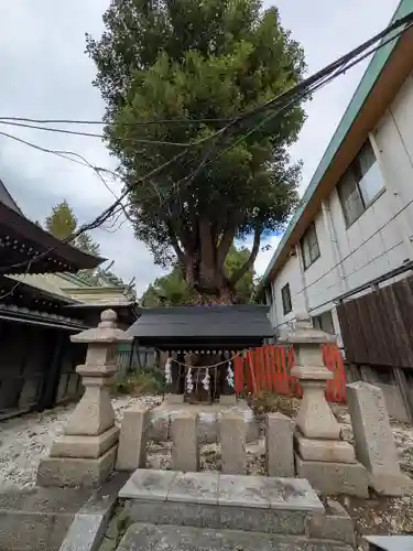 阿部野神社(大阪府)