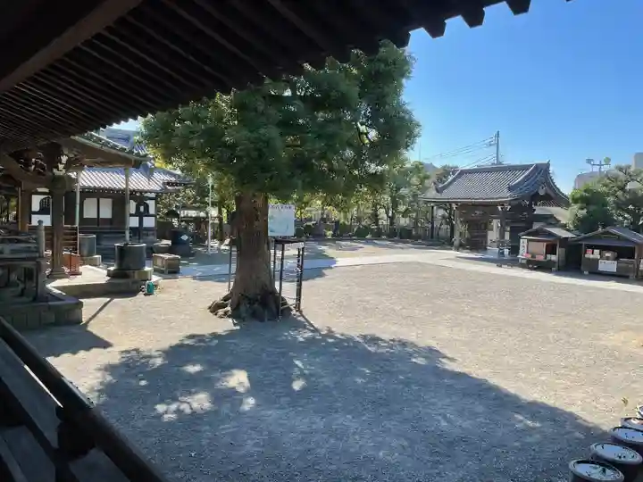 題経寺(柴又帝釈天)(東京都)