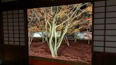 妙覺寺（妙覚寺）(京都府)