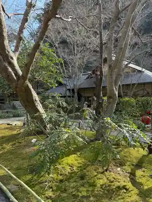 明月院(神奈川県)