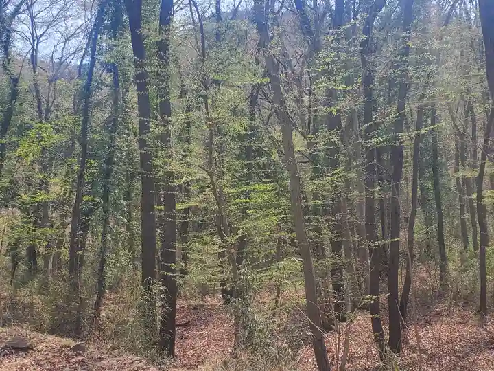 御嶽山神社(里宮)(栃木県)