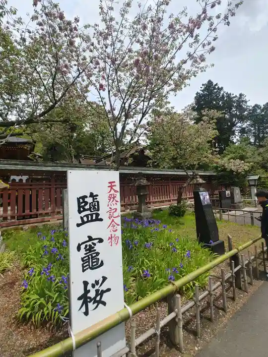 志波彦神社・鹽竈神社(宮城県)
