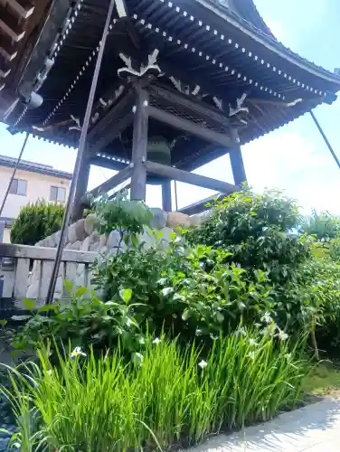光受寺の{uncategorized: "未分類", other: "その他", undefined: "問題あり", building: "その他建物", grave: "お墓", sacred_gate: "鳥居", guardian: "狛犬", statue: "像", buddha: "仏像", history: "歴史", nature: "自然", garden: "庭園", animal: "動物", pagoda: "塔", temizu: "手水舎", mountain_gate: "山門・神門", sanctuary: "本殿・本堂", subordinate: "末社・摂社", art: "芸術", scenery: "景色", jizo: "地蔵", ema: "絵馬", goshuin: "御朱印", omikuji: "おみくじ", items: "授与品その他", amulet: "お守り", goshuincho: "御朱印帳", eats: "食事", festival: "お祭り", votive_dance: "神楽", shichigosan: "七五三参", wedding: "結婚式", experience: "体験その他", initially: "初詣", around: "周辺", anti_infection: "感染症対策"}