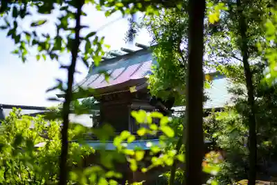 埴生神社の本殿・本堂