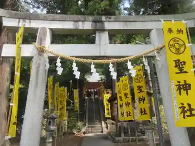 聖神社(埼玉県)