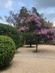 常宮神社(福井県)