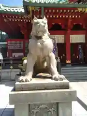 神田神社（神田明神）の狛犬