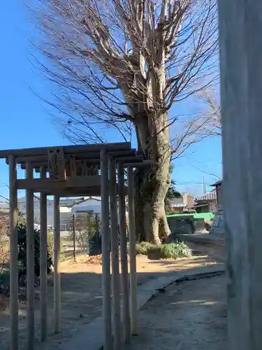 日限富士浅間神社(栃木県)