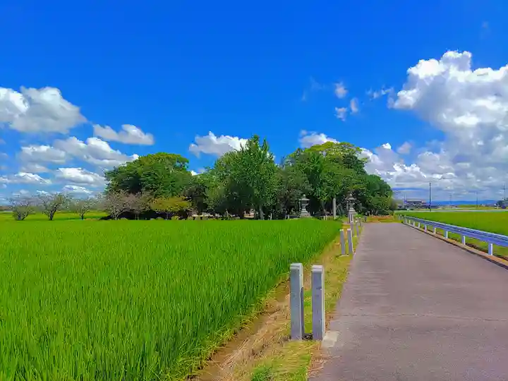 針曽根八幡社の自然