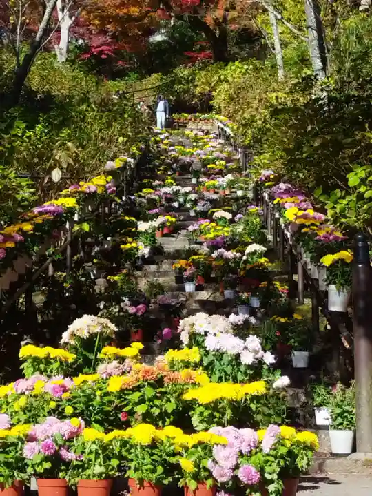 長谷寺(奈良県)