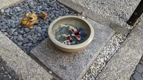 荘厳寺(京都府)