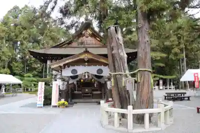 建部大社の本殿・本堂