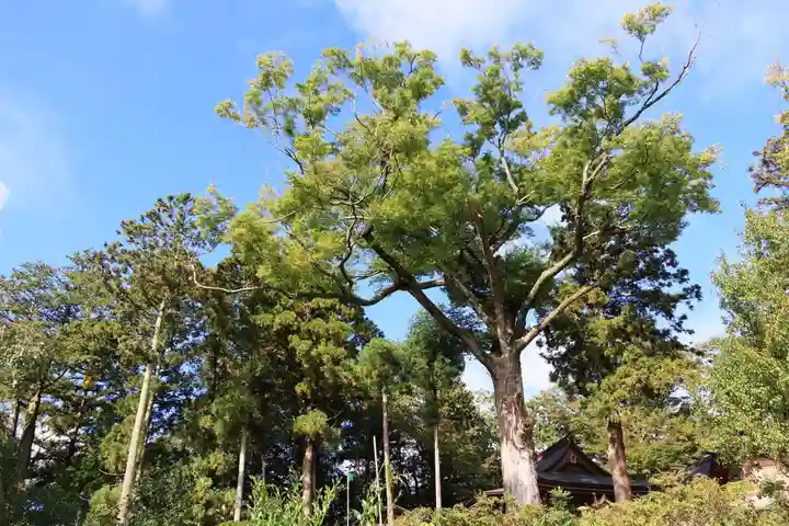 阿久津「田村神社」(郡山市阿久津町)旧社名:伊豆箱根三嶋三社(福島県)