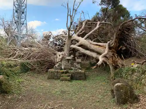 琴平神社の本殿・本堂