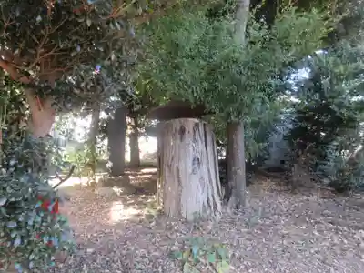 諏訪神社(東京都)