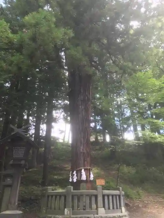 諏訪大社下社春宮(長野県)