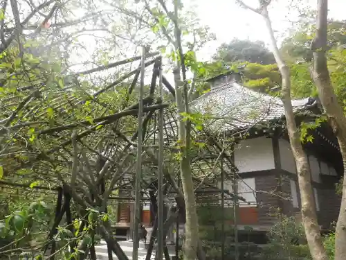 光則寺の庭園