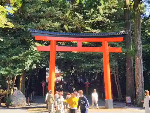 霧島神宮の鳥居