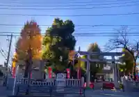 若宮八幡宮 (神奈川県)