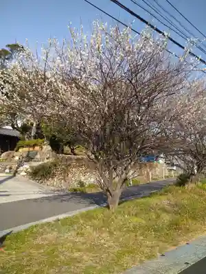 朝倉神社の周辺