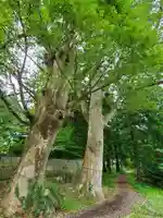 神炊館神社 ⁂奥州須賀川総鎮守⁂(福島県)